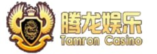腾龙集团公司 Logo